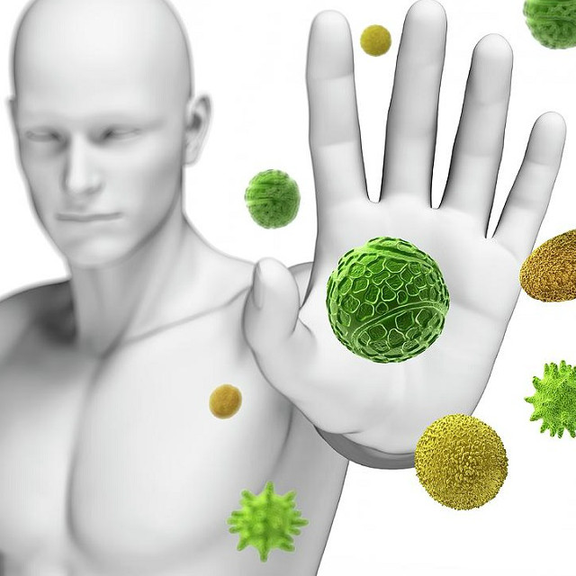Hệ miễn dịch giúp cơ thể chống lại những tác nhân gây ra bệnh như vi khuẩn, vi rút.